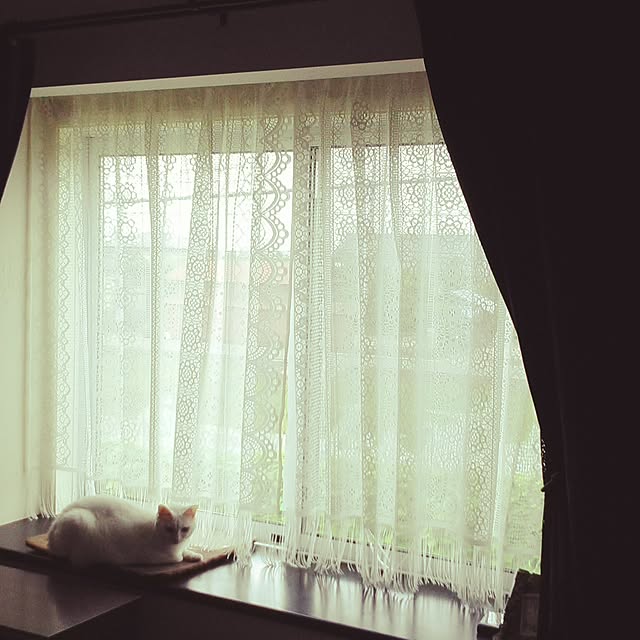 akuakuさんの実例写真