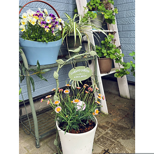 CoCo0617さんの実例写真