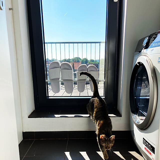 kimiさんの実例写真