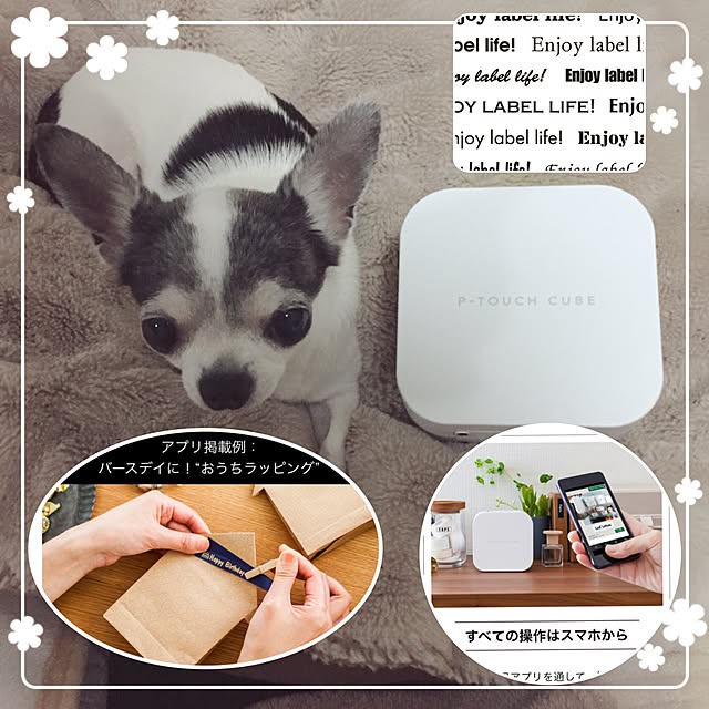 Emiさんの実例写真