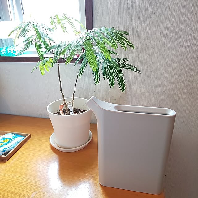 kumimmyさんの実例写真