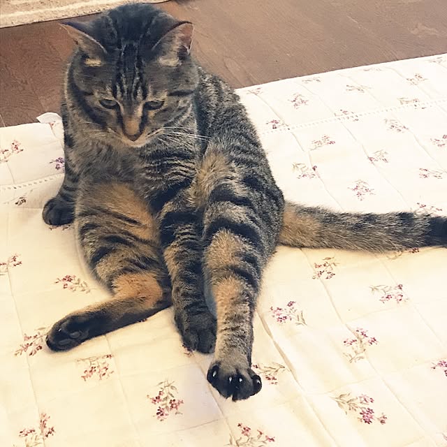 mayuさんの実例写真