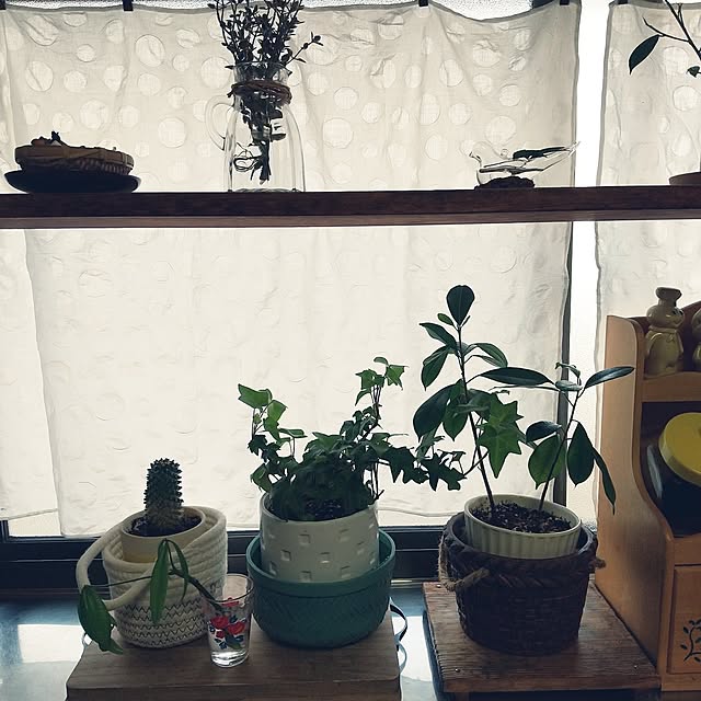 emibutaさんの実例写真