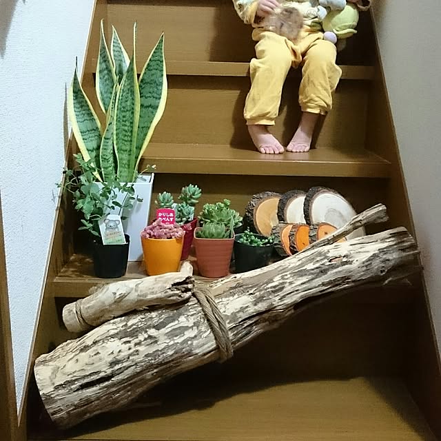 rika-snyさんの実例写真