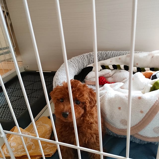 teamoさんの部屋