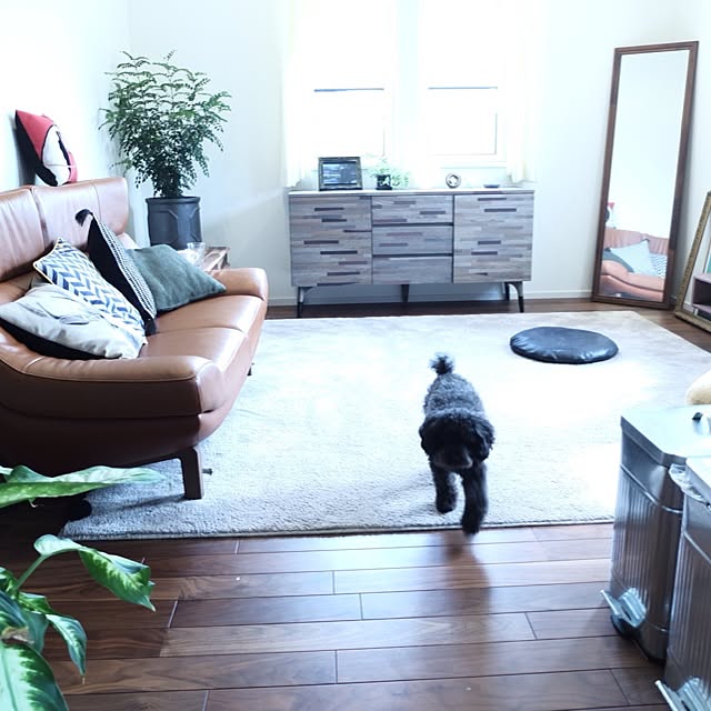 hizumさんの実例写真