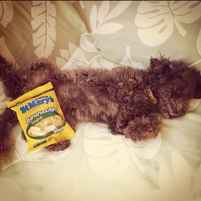 choco.yokoさんの実例写真