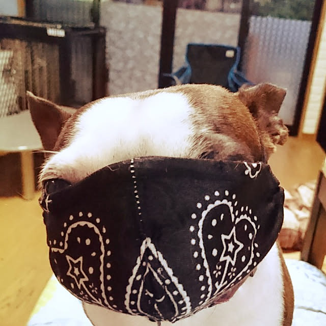 maiさんの実例写真