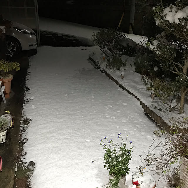 daikichiさんの実例写真