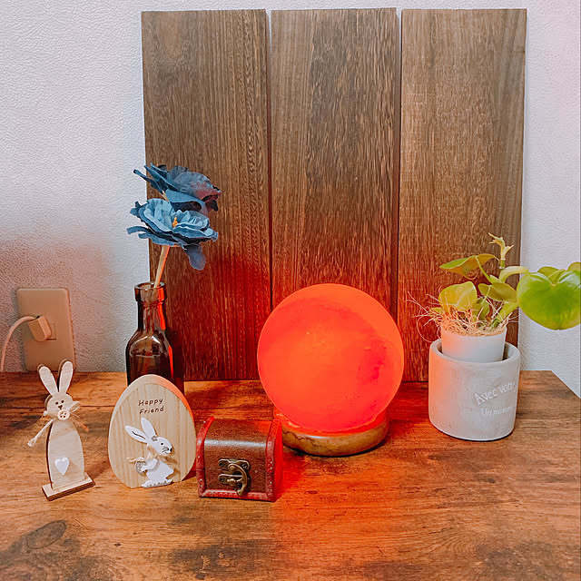 100均/観葉植物/棚のインテリア実例 - 2019-04-01 18:37:55