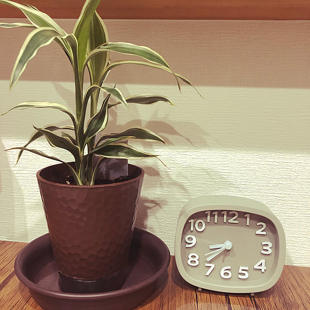 arareさんの実例写真