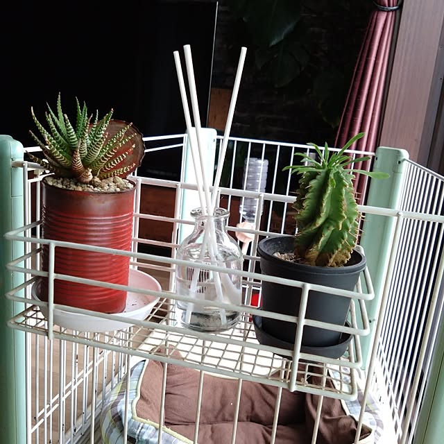 tomopiさんの実例写真