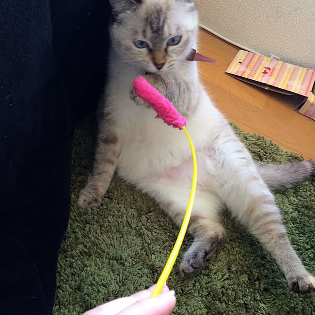 nachuさんの実例写真
