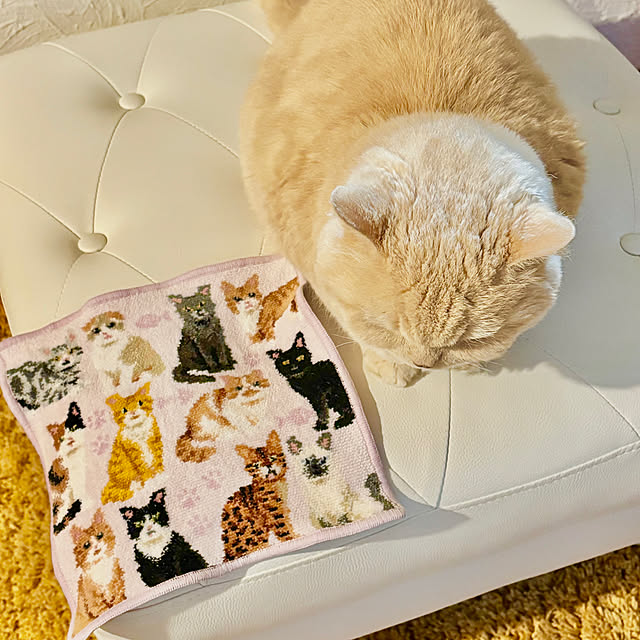 naokoさんの実例写真