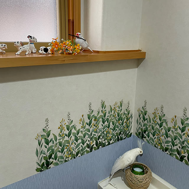 kakoさんの部屋