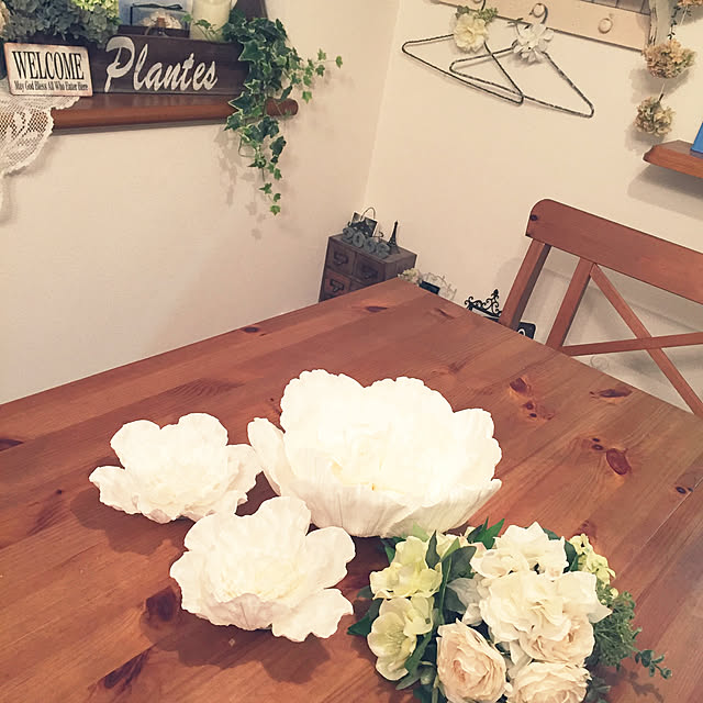 soraさんの実例写真