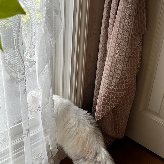 AYUKOさんの実例写真