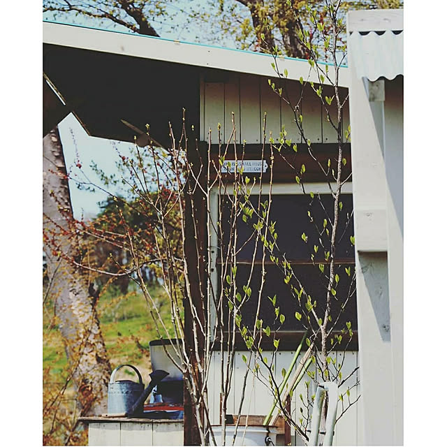 yukiさんの実例写真