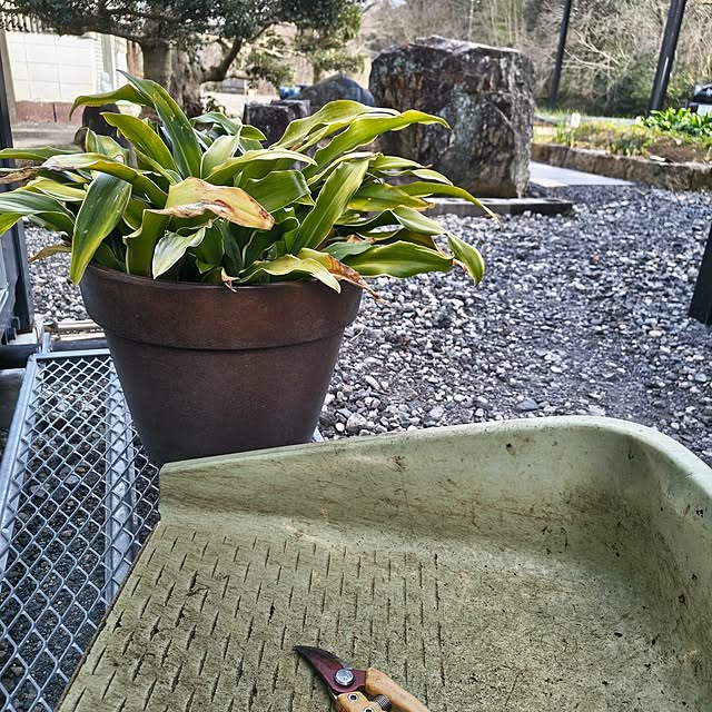 Rubiconさんの部屋