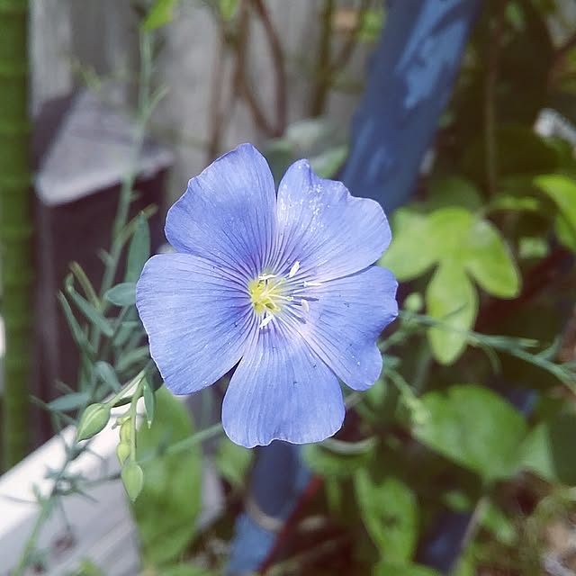 yukkoさんの実例写真