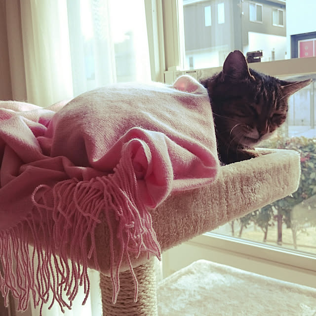lilyさんの実例写真