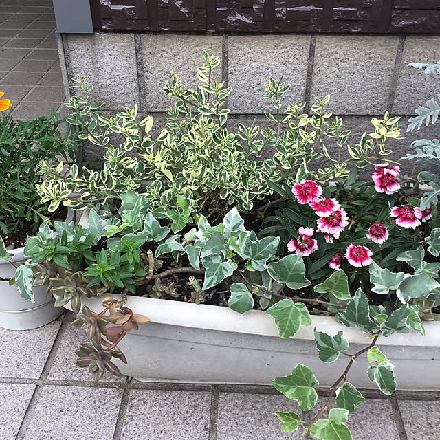 yukityannさんの実例写真