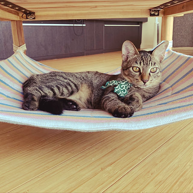 machaさんの実例写真