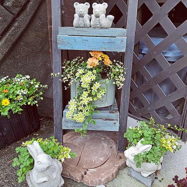 mocomocoさんの実例写真