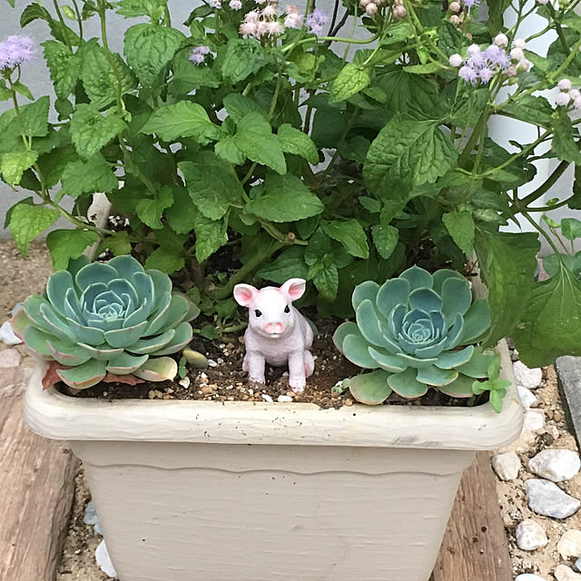 miieさんの実例写真