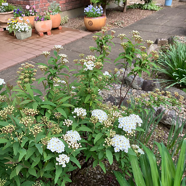 ikubooさんの実例写真