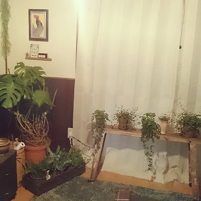 bachanさんの実例写真
