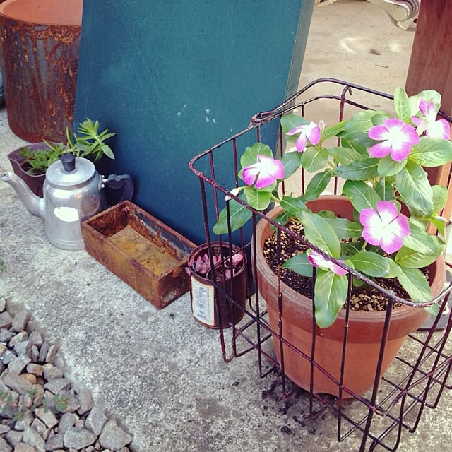 botanさんの実例写真