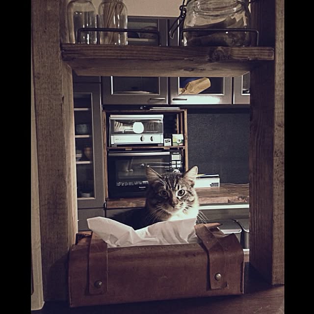 jnkaiさんの実例写真