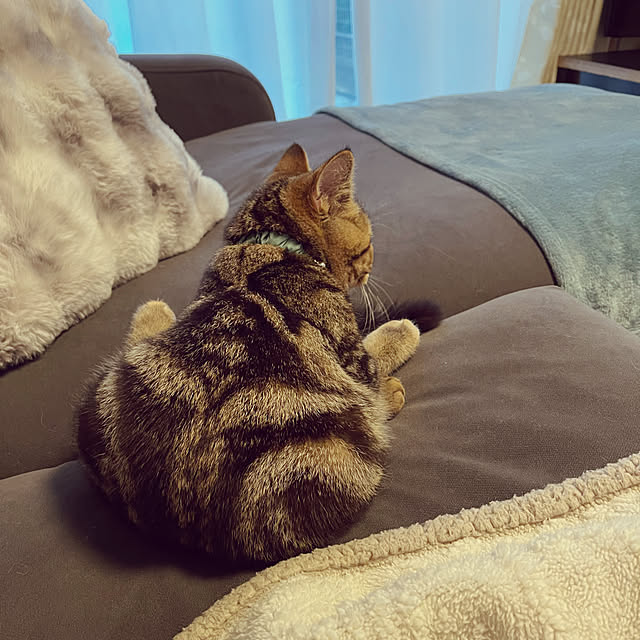 chiiさんの実例写真