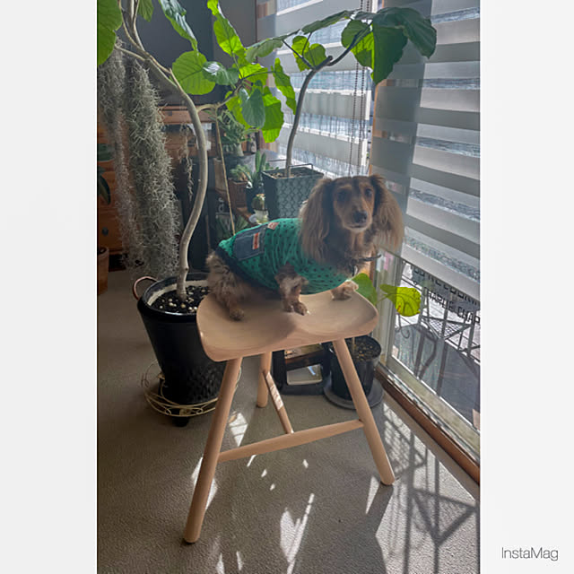 yupponさんの実例写真