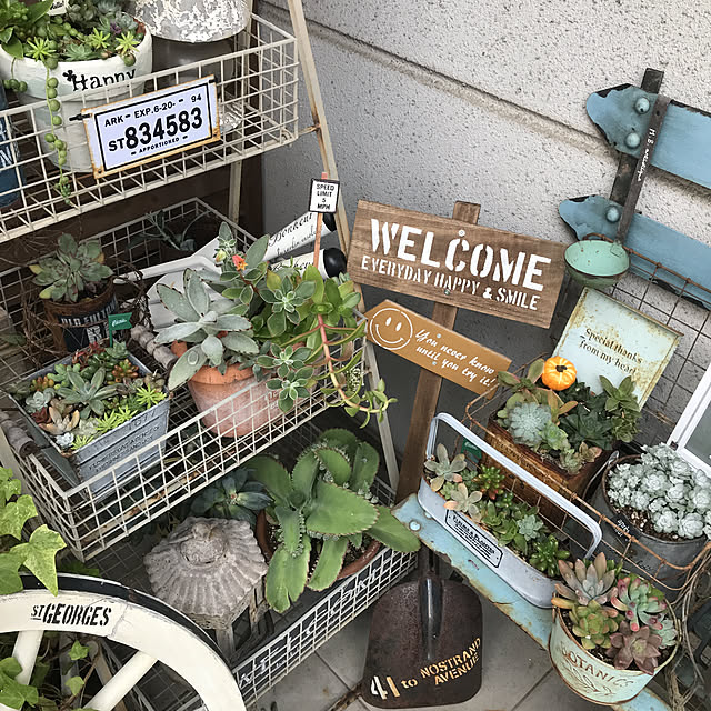 tanomamaさんの実例写真