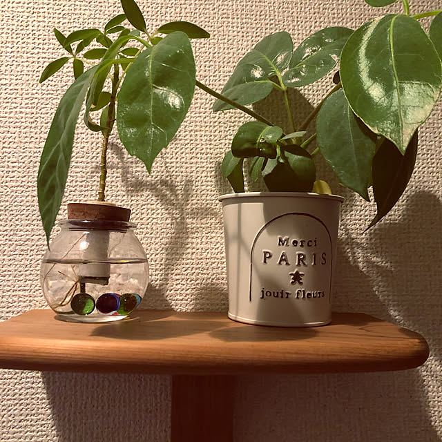 rainさんの実例写真