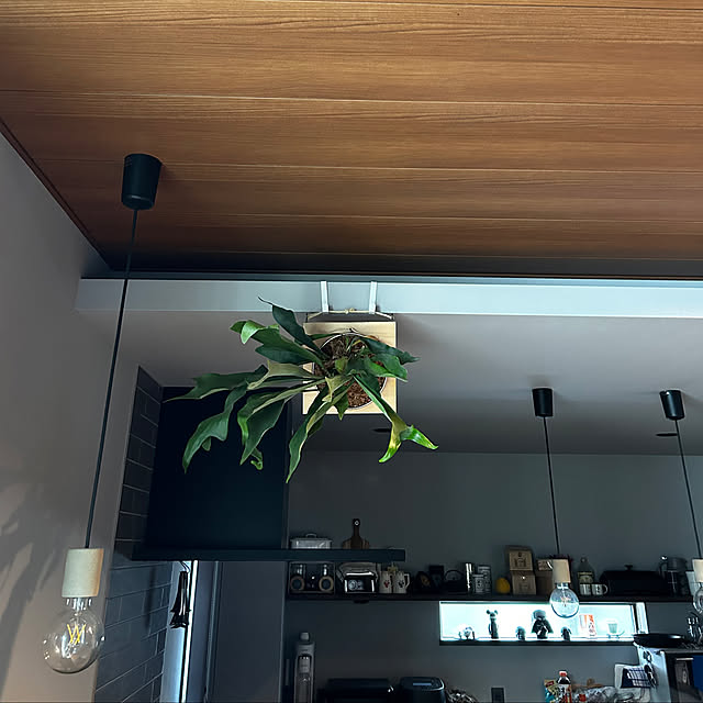 porinさんの部屋