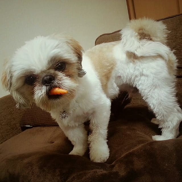 ted-ysdさんの実例写真