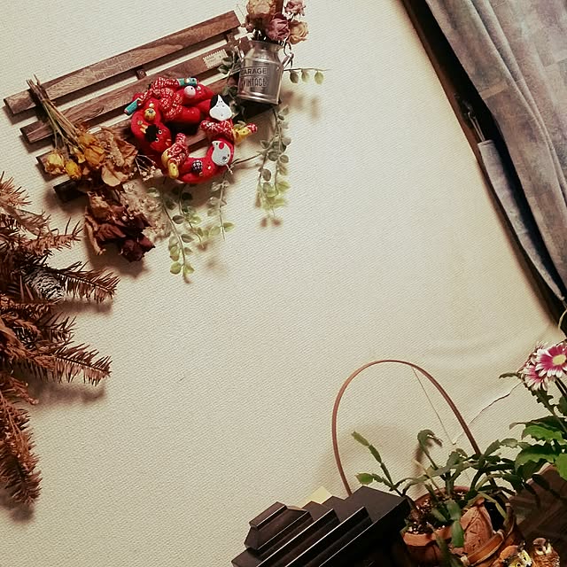 Kyokoさんの実例写真