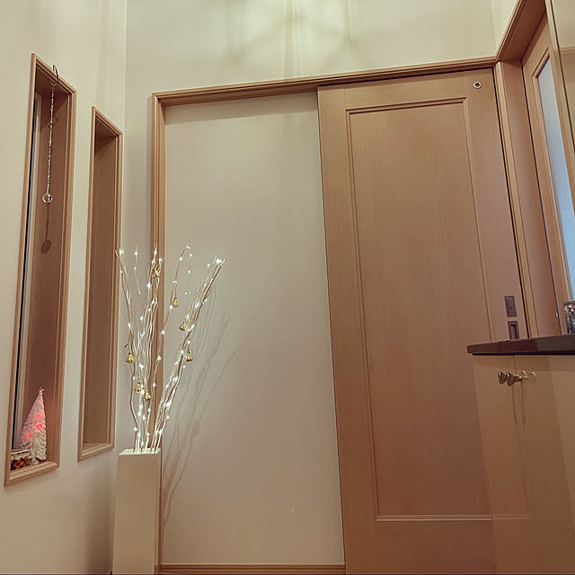 照明/ナチュラル/一条工務店　ブリアール/玄関/入り口のインテリア実例 - 2021-12-11 14:49:58