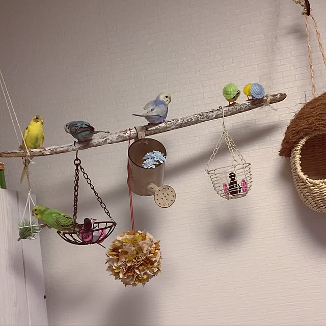 oniyomeさんの実例写真