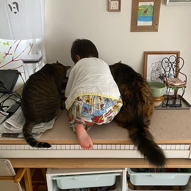 mikomaruさんの実例写真