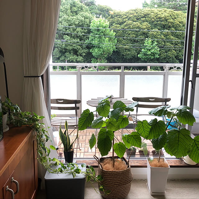 paakoさんの実例写真