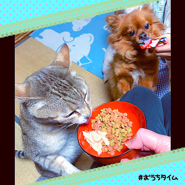 NF27SF29さんの実例写真