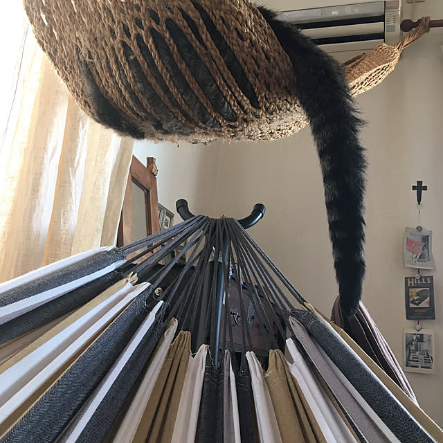 kuuさんの実例写真