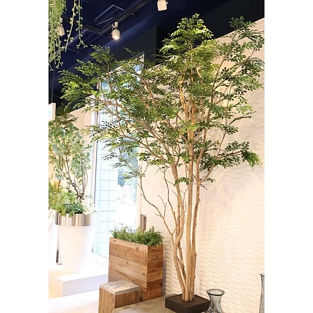 displaymuseumさんの実例写真
