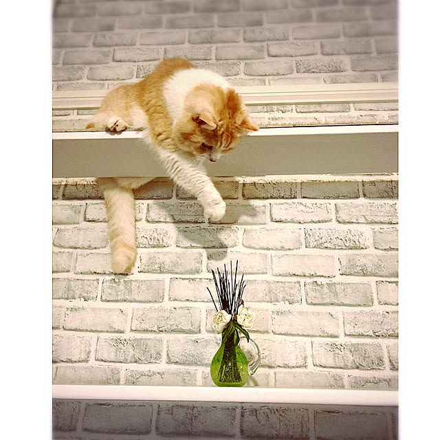 H.Tさんの実例写真