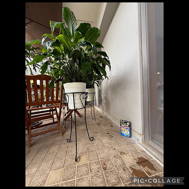 Aqettyさんの実例写真