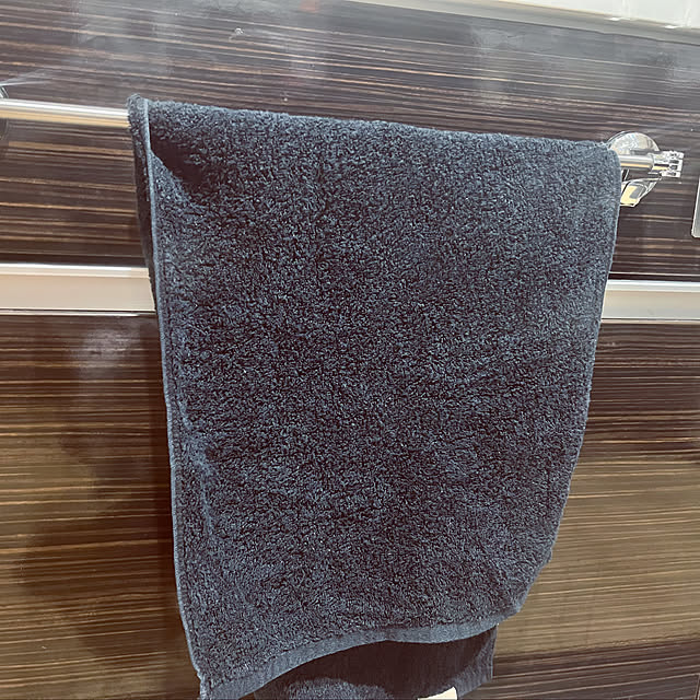 a_familyのレック-レック(LEC) / 伸縮 ステンレス タオル掛け 50 (レバー式吸盤)の家具・インテリア写真